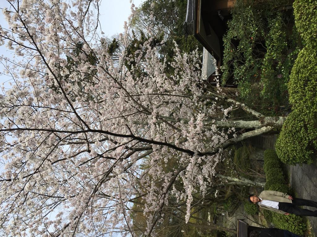 קיוטו Ryokan Uemura מראה חיצוני תמונה